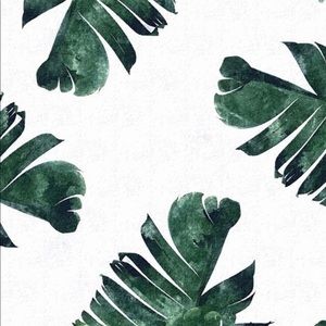 Meet your Posher, Asia